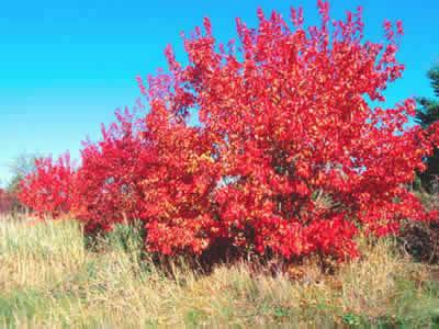 找出标题的关键词，做好搜索优化！