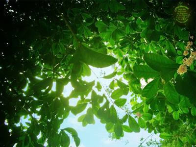 【网站优化优化】网站优化的六条基本规则