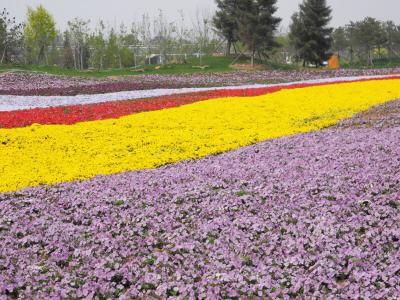 【网站的优化关键】网站优化过程中的关键词选择