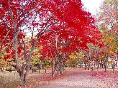 【长尾关键词】如何批量挖掘长尾关键词