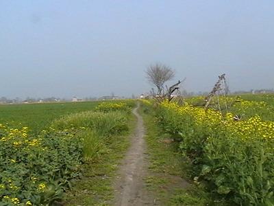 【网站关键词】如何选择合适的关键词？