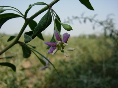 【如何增加网站排名】如何优化网站排名？