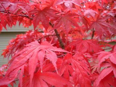 网站目标关键字和长尾关键字有什么区别？如何挖掘长尾词？