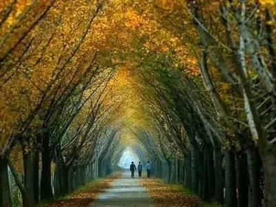 【长尾关键词】如何做好长尾关键词的布局