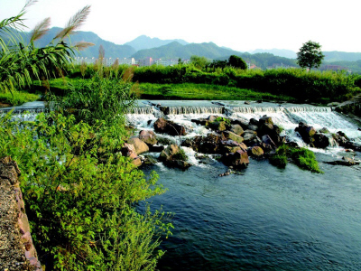 【如何制定seo优化方案】如何制定详细的SEO计划。