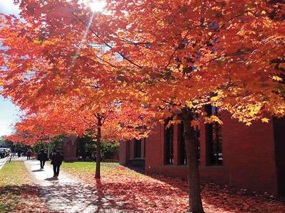 搜索排名告诉你什么样的客户适合网络优化