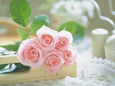 为什么网站收录量和反链不高，而且权重高？