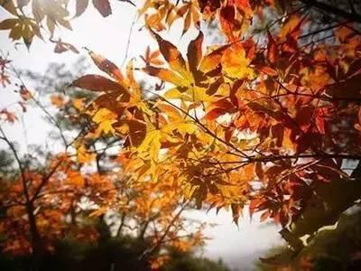 网站建设为何成为公司成长的必由之路