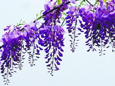 “互联网+”时代橱柜的销售模式