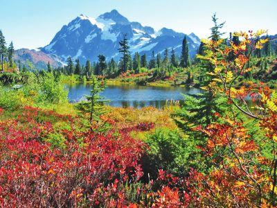 搜骐OEM告诉你网站关键词排名的解决方案