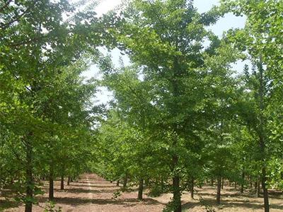 什么是标签？它在网站优化中起着重要的作用吗？