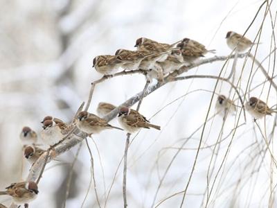 设置长尾关键字时需要注意哪些要点？