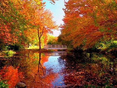 网上电子商务如何提高网站页面的关键词密度？