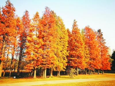 网页关键词测试文章和工具的关键词密度