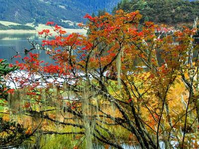 3%-8%关键词优化密度的时代已经过去