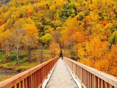 网站的关键词密度多少合适