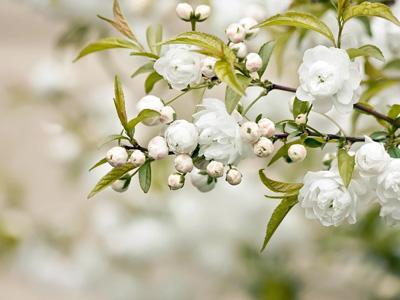 网站关键词的密度是多少？