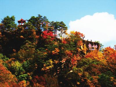 网站关键词密度合适