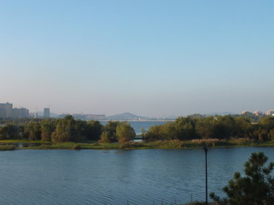 关键词布局密度控制