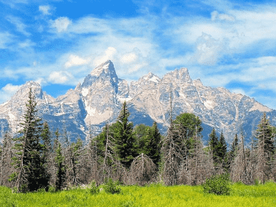 合适的关键词密度是多少？