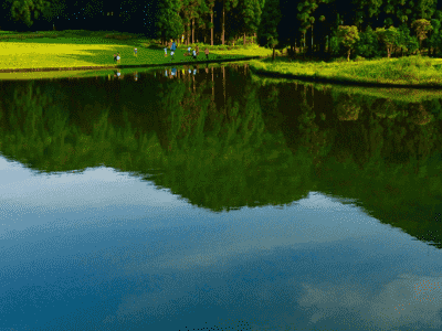 关键词选择的策略与密度