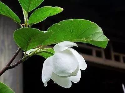 关键字密度决定是否可以找到简历！