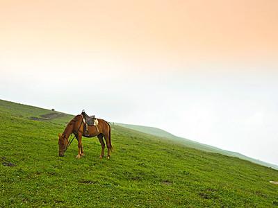 关键词密度对关键词排名有很大影响吗？