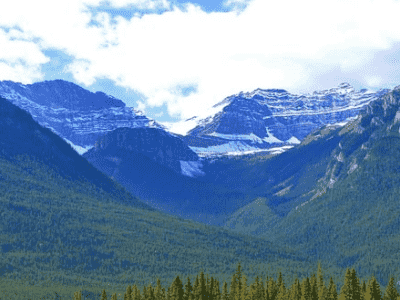 分享如何合理安排关键词密度