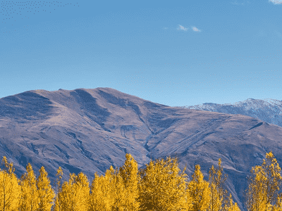 你对网站的关键词密度了解多少？