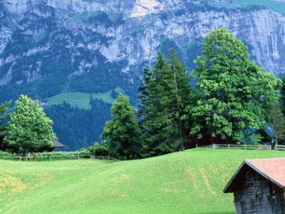 几种长尾关键字挖掘工具