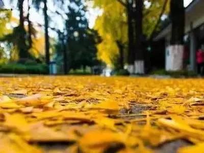 长尾关键词有多少种挖掘方法？