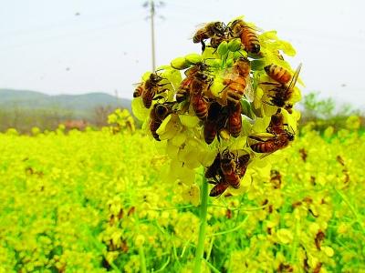 挖掘长尾关键词方法