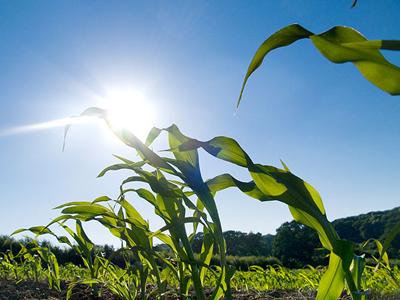 如何通过文章排列长尾关键字？
