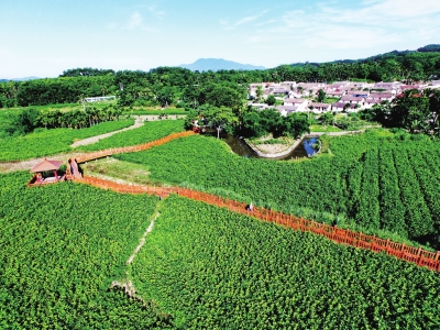 网站建设中长尾关键词的设置技巧