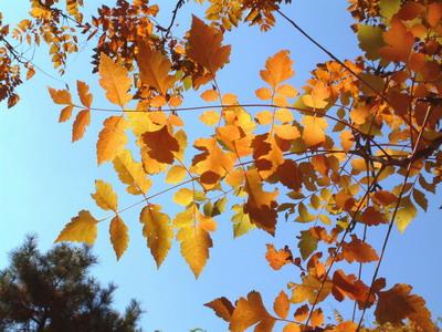 长尾关键词的价值是什么？