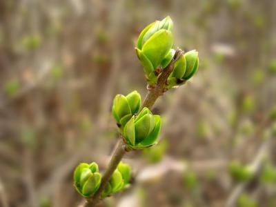 长尾关键词在网站优化中的正确使用