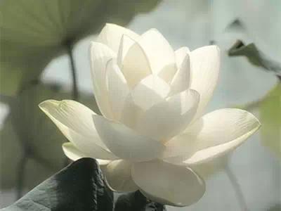 借用工具！新手很容易找出长尾关键词