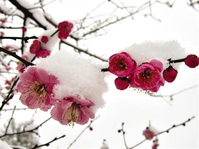 遵循简单的长尾关键词步骤来提高SEO效率