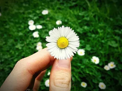 浅谈长尾关键词失效的原因及方法