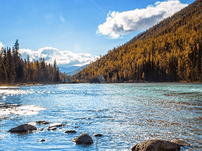 如何找到标题的长尾关键词