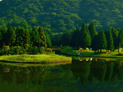 使用长尾关键字提高搜索流量的五个步骤