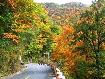 如何做推广传统工业企业的免费网站