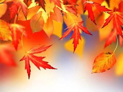 长尾关键词的价值是什么？