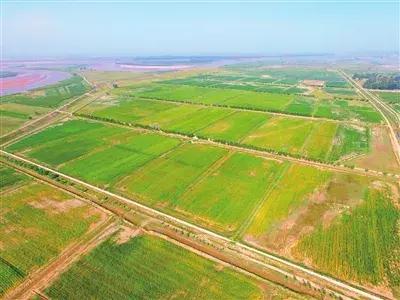 如何优化网站长尾关键字？