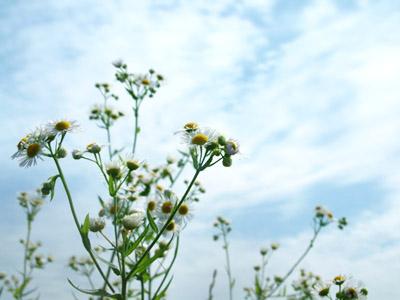 长尾关键词这样做有效果