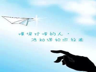 B2B行业网站创意与流量稳步增长分析