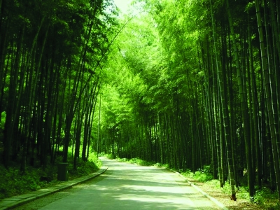 如何用长尾关键词优化网站权重