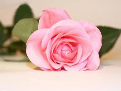 如何有效提高网站收录量？