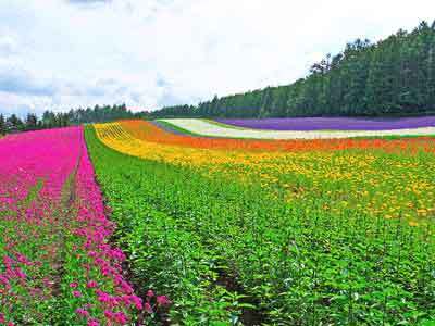 网站价值评估的方法有哪些？