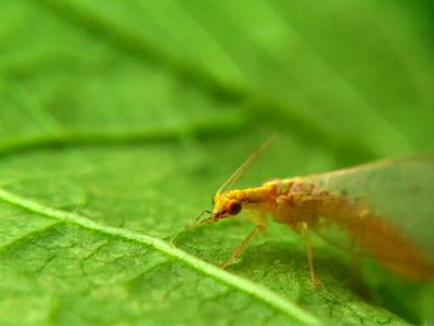 如何利用“热点”使网站产生优化效果